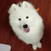 Leonhard - @christian.leonhard - TikTok