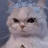 Leoni chris Benito - @leoni.chris.benito - TikTok