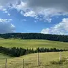 Chris_Leopard_gr8 - @kongleon8 - TikTok