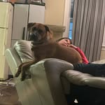 Chris LePera - @chrislepera - Instagram