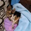chris_lepew - @chris_lepew - TikTok