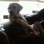 Chris Lepre - @clshuffle - Instagram