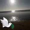 chris.ler - @chris.ler - TikTok