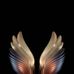 Chris Leroy - Facebook