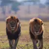 Chris Lerumo - @chrismthokolerumo - TikTok