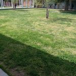 Chris Lesher - @chris.lesher.31 - Instagram