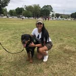 Chris Lessa - @chrisslessa_ - Instagram