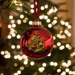 Christmas Blessings - @christmas.blessings1 - Instagram