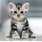 @chris_leveque1 - Instagram