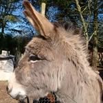 Christian Leveque - @christian.leveque.927 - Instagram