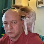 Chris Lever - @cmlever1220 - Instagram