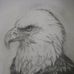 Chris Leyda - Facebook