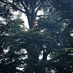 Chris Light - @chris_light - Instagram