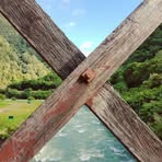 Chris Linne - Facebook