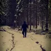 Tjennslia Kennel - @chrislinnerud - TikTok