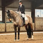 Chris Linton - @lintonshowjumping - Instagram