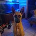 Chris Litchfield - Facebook