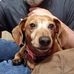 Chris Livengood - Facebook