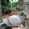 chris loft - @chris.loft - TikTok