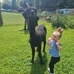 Chris Lofthouse - @chrislofthouse7 - Instagram