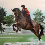 Chris Lofthouse - @lofthouse.chris - Instagram