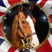 Chris Lofthouse - Facebook