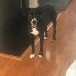 Chris Loftis - @chrisloftis.68 - Instagram