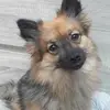 Chris Logelin - @chris.logelin - TikTok