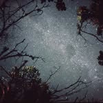Fotografia autoral - @chrislohn_ - Instagram