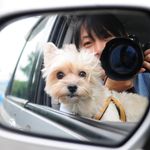 Chris Lok - @chrislokpo - Instagram