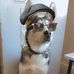 Chris Longbottom - Facebook