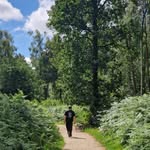 Chris Long - @chris_longer - Instagram