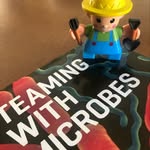 Chris Longest - @manyminimicrobes - Instagram