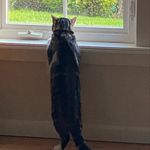 @chrislongfellow17 - Instagram