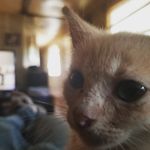 Christopher Longfellow - @chlongdo1 - Instagram