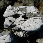 Chris Longmire - @christopher.longmire66 - Instagram