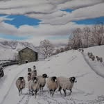 Christine Longmire - @christinelongmireart - Instagram