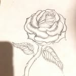 Chris Longo - @longo8076 - Instagram