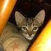 Christopher Longstreth - Facebook