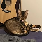 Christian König - @chrislonia - Instagram