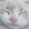 loni chris - @loni.chris - TikTok
