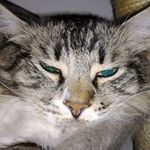 Chris Loops - @chrisl00ps - Instagram