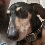Chris Loppnow - @loppy702 - Instagram
