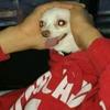 chris.loranger - @chris.loranger - TikTok
