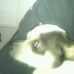 Chris Loredo - Facebook