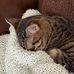 Chris Lorentz Windschitl - Facebook