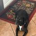 Chris Loring - Facebook