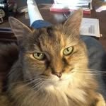 Chris Loringer - @loringerchris - Instagram