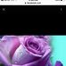 Chris Loso - Facebook