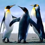 Chris Lovell - @chrislovell371199 - Instagram